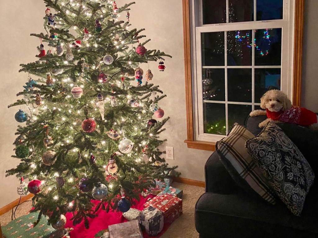 The True Light of&nbsp;Christmas