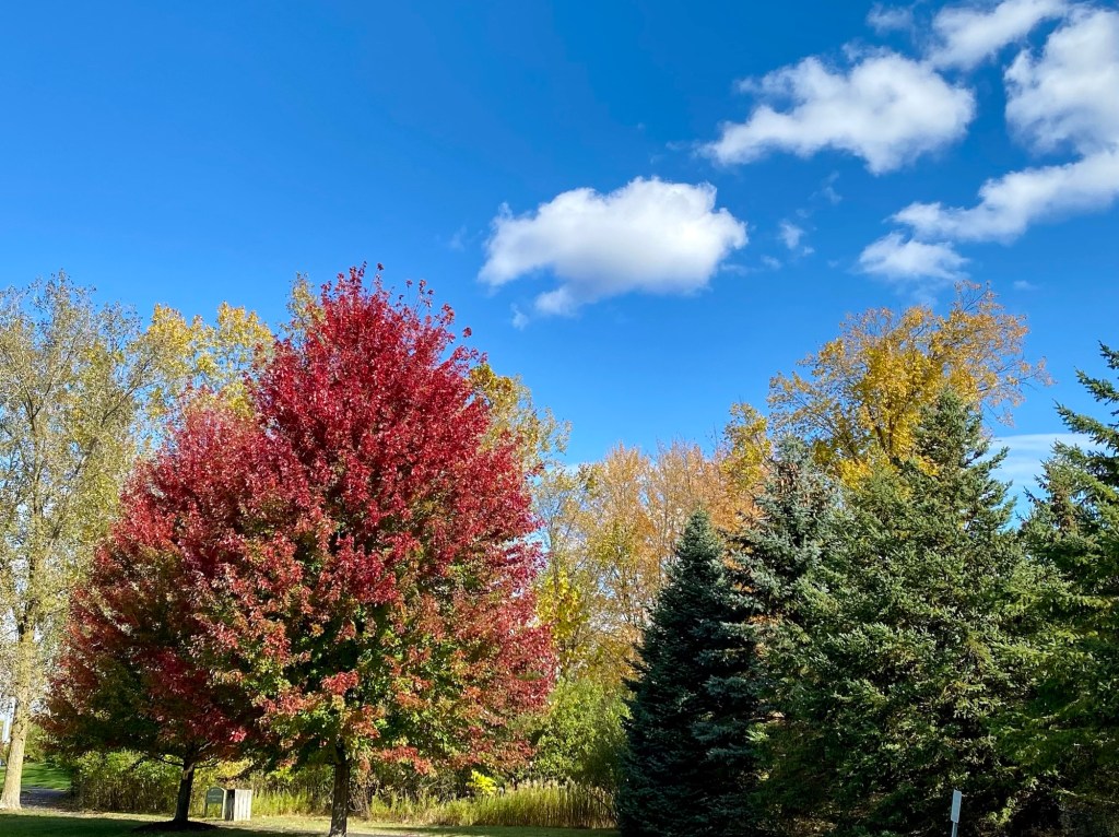 Always Looking Forward to the Next&nbsp;Thing